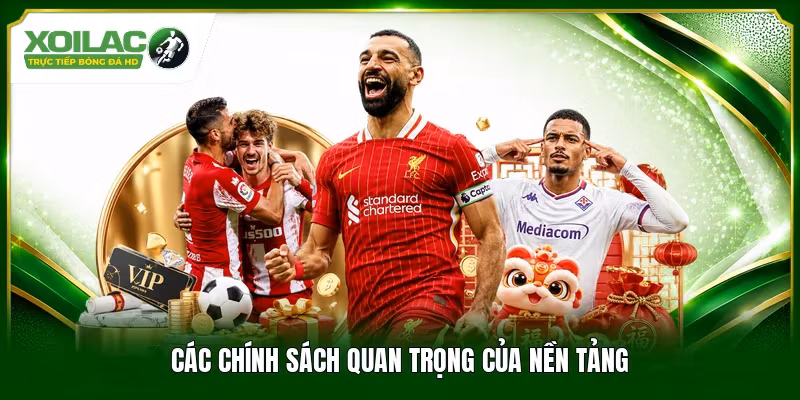 Các chính sách quan trọng của nền tảng