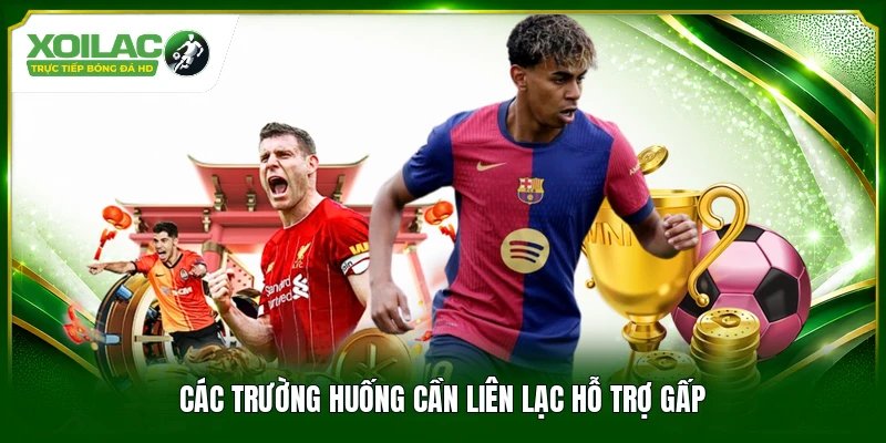 Các tình huống cần liên lạc hỗ trợ gấp