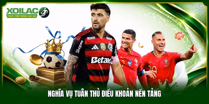 Nghĩa vụ tuân thủ điều khoản nền tảng
