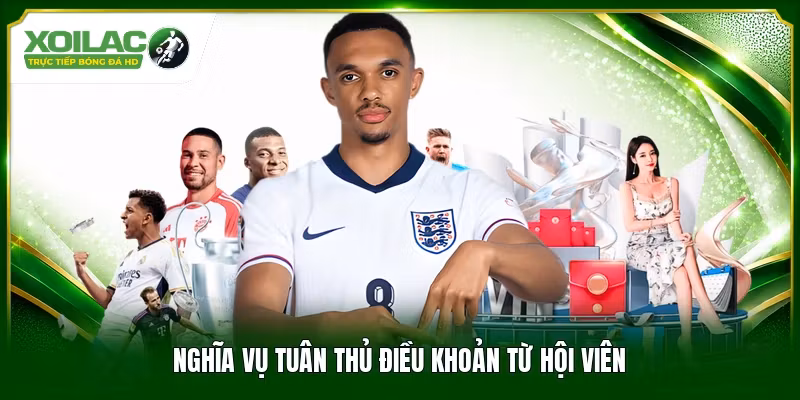 Nghĩa vụ tuân thủ điều khoản từ hội viên