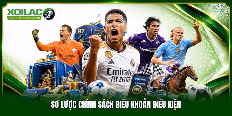 Sơ lược chính sách điều khoản điều kiện