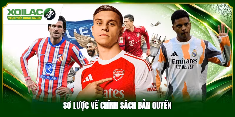Sơ lược về chính sách bản quyền