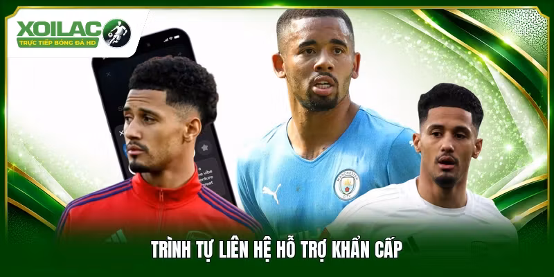 Trình tự liên hệ hỗ trợ khẩn cấp
